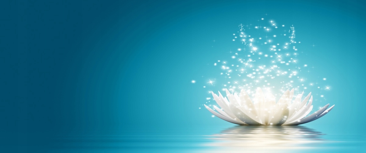 

Tapeta flizelinowa Kwiat lotosu 250x104