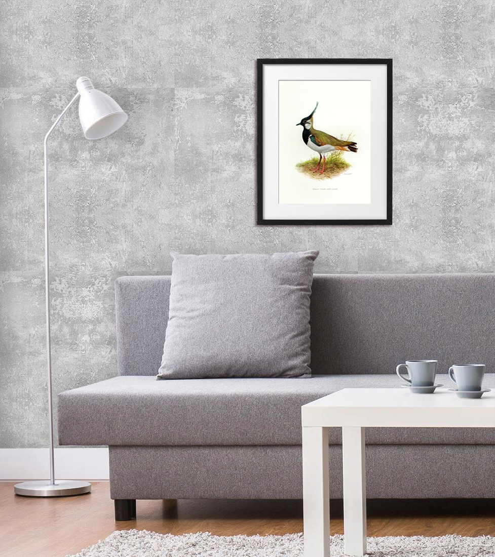 Czajka ptaszek piękny plakat vintage 30x40cm Kod producenta Czajka