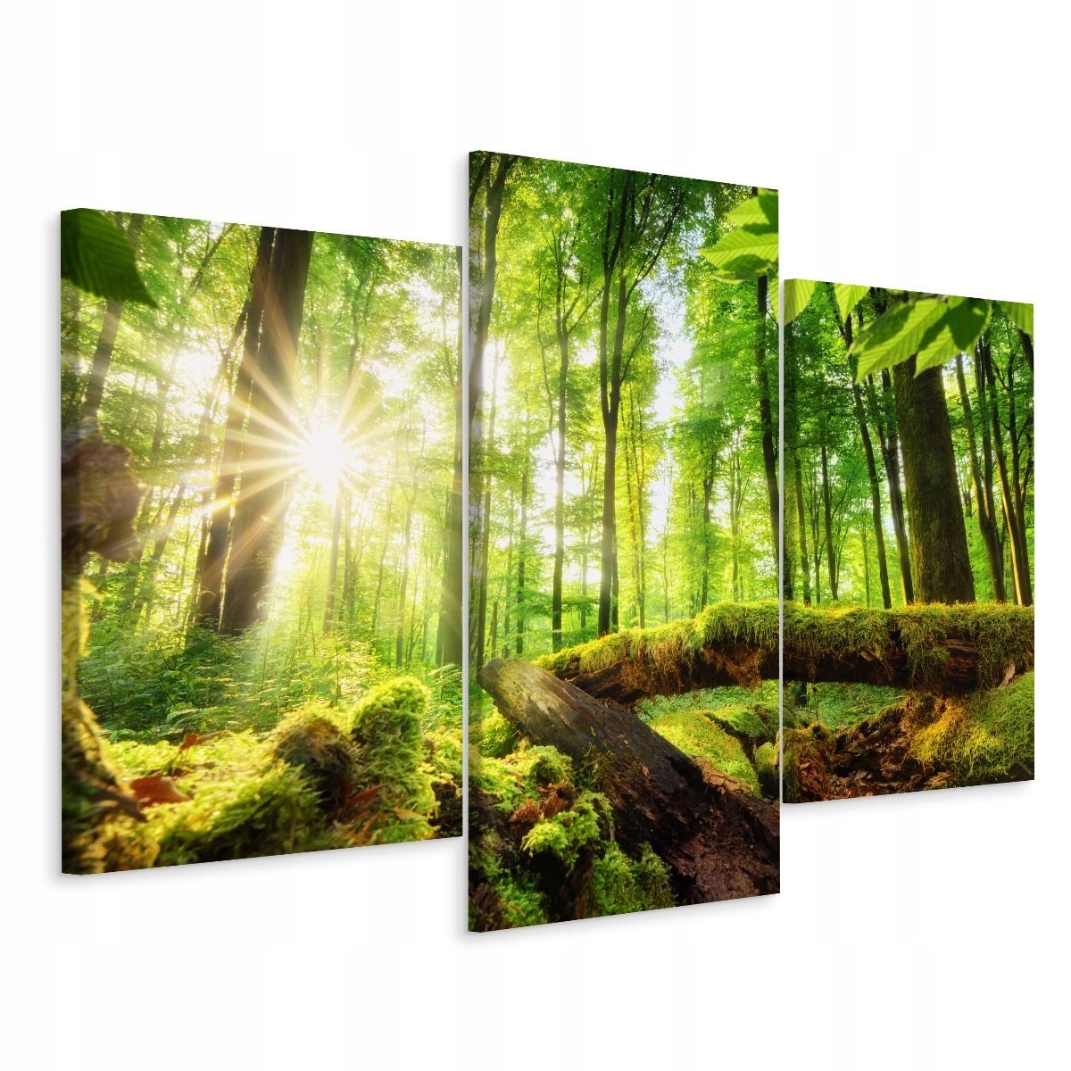 

Obraz 3 Częściowy Słońce w Lesie Zieleń 3D 150x100