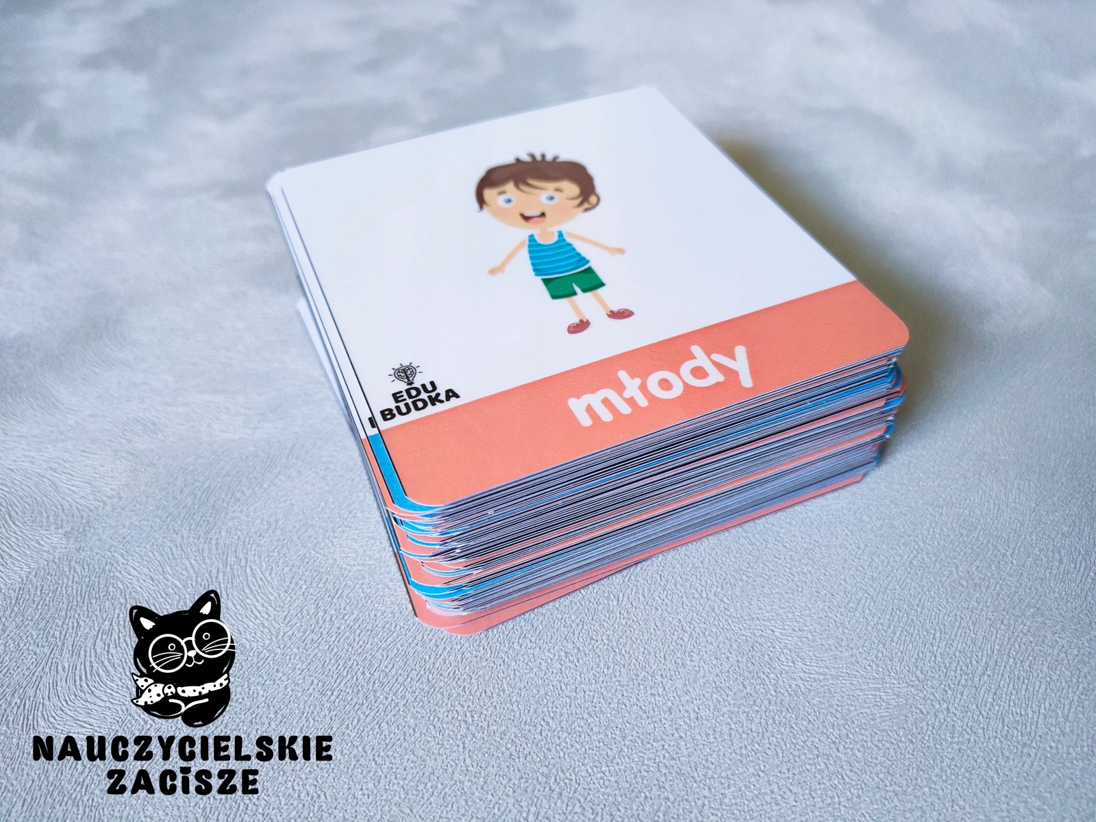 PRZECIWIEŃSTWA 78 kart obrazkowych dla dzieci Nośnik książka papierowa