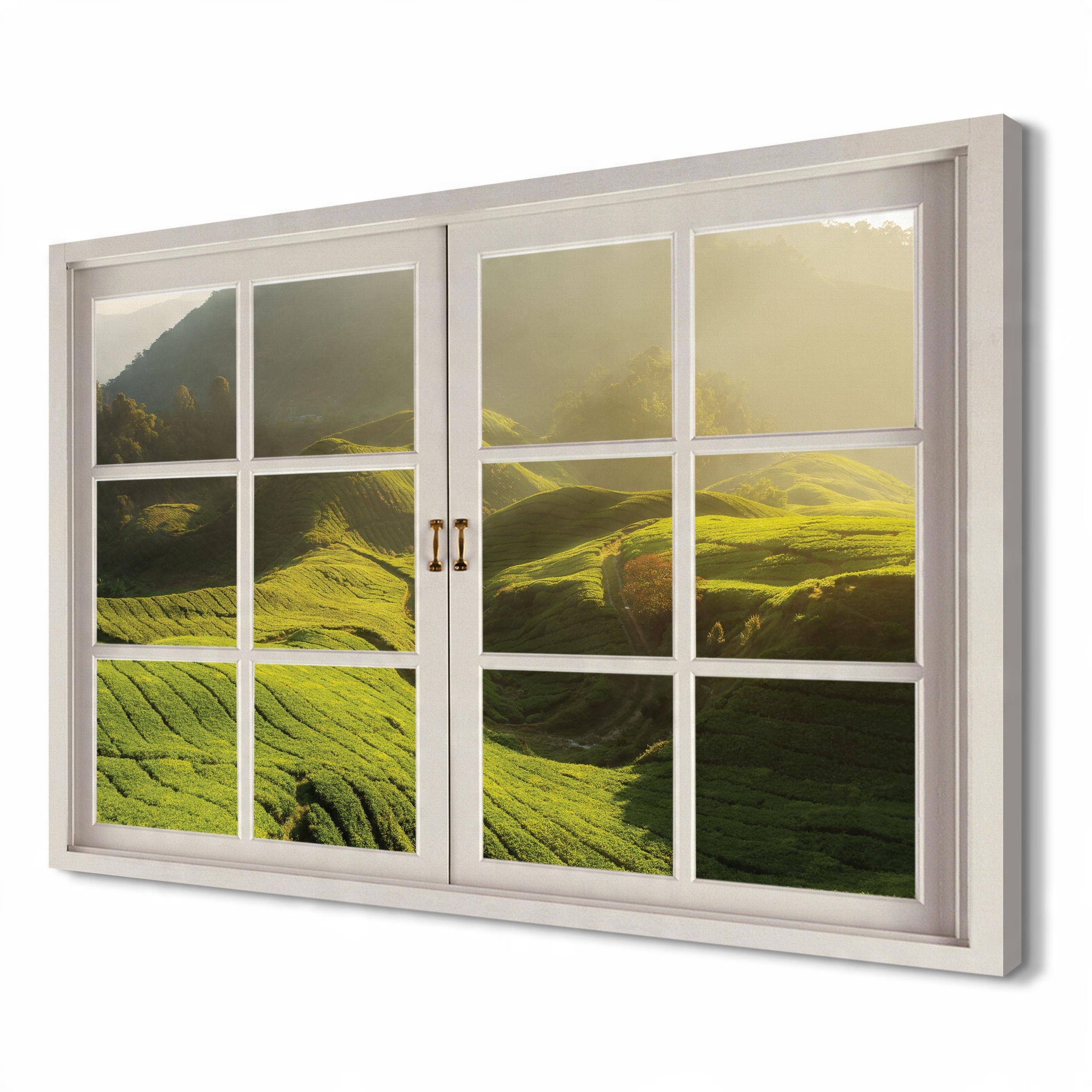 

Plantacja herbaty do biura 120x80 Obraz canvas 3d