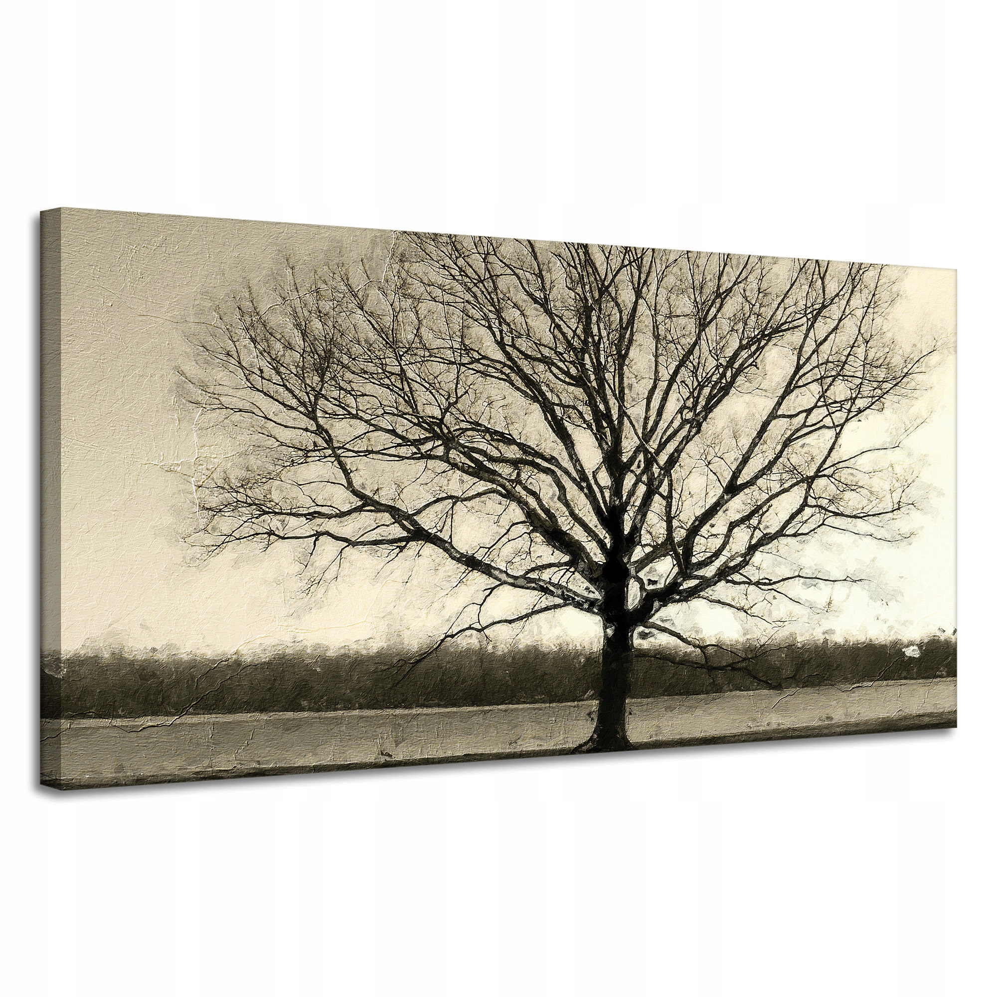 Obraz na plátně Ponuré Černé Dřevo Smutek 120x60 cm Ideální jako dárek