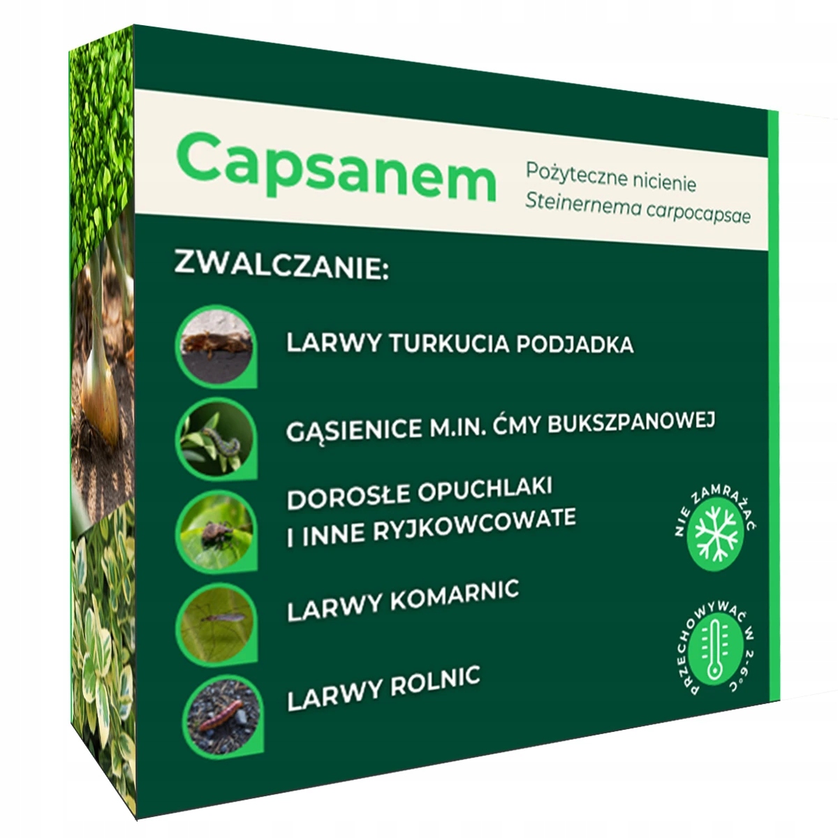 Pożyteczne Nicienie Przeciwko Larwom Turkucia Podjadka Capsanem 25 Milionów