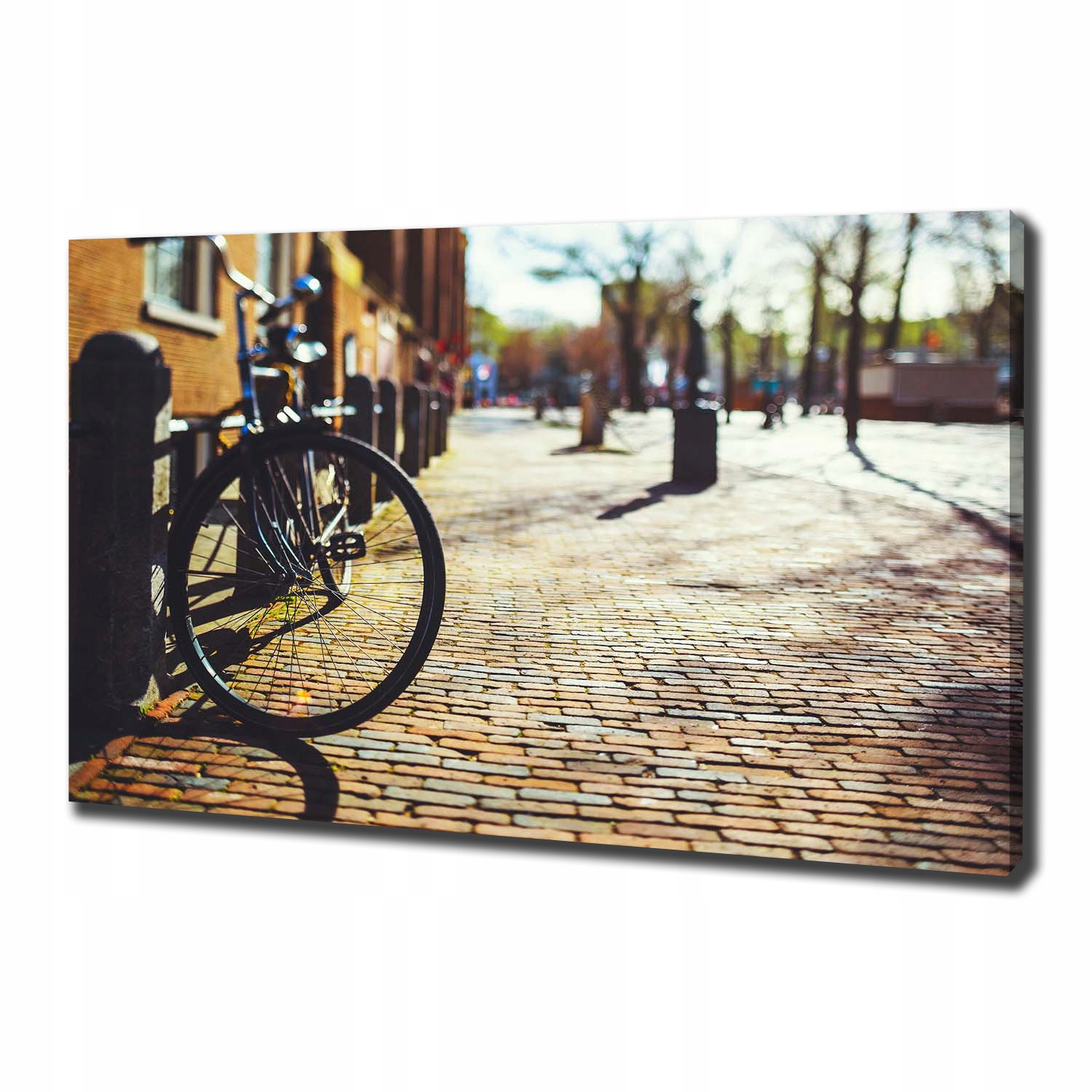 

Foto obraz na płótnie Rower w Amsterdamie 100x70cm