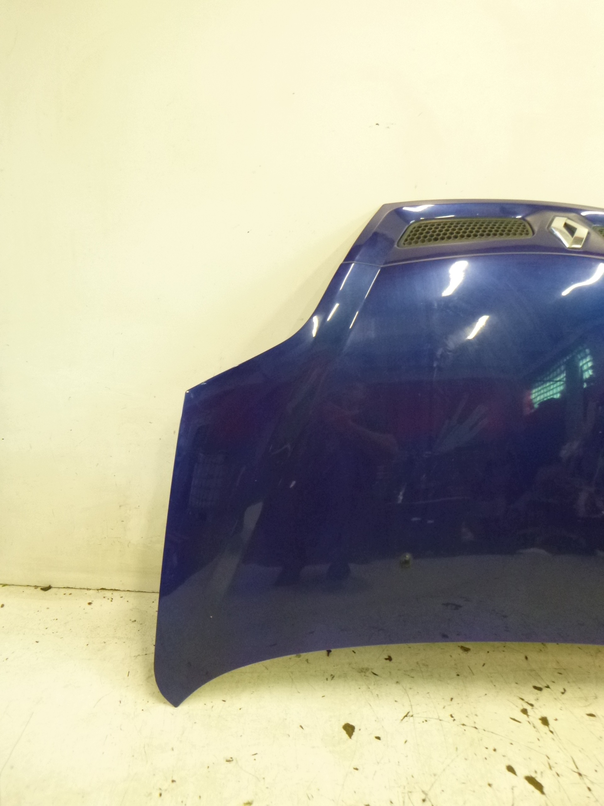 cofano Renault Scenic e Lift 99-03 TED44 Granat