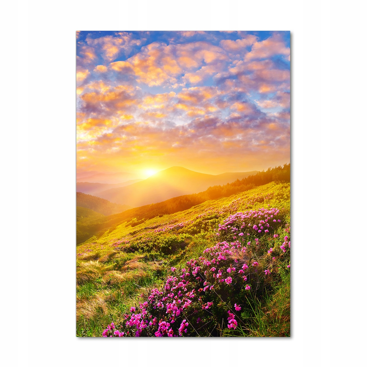 

Foto obraz akrylowy Zachód słońca góry 70x100 cm