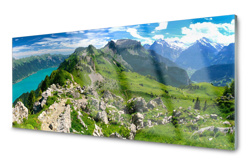

Panel szklany do kuchni Łąka Góry 125x50