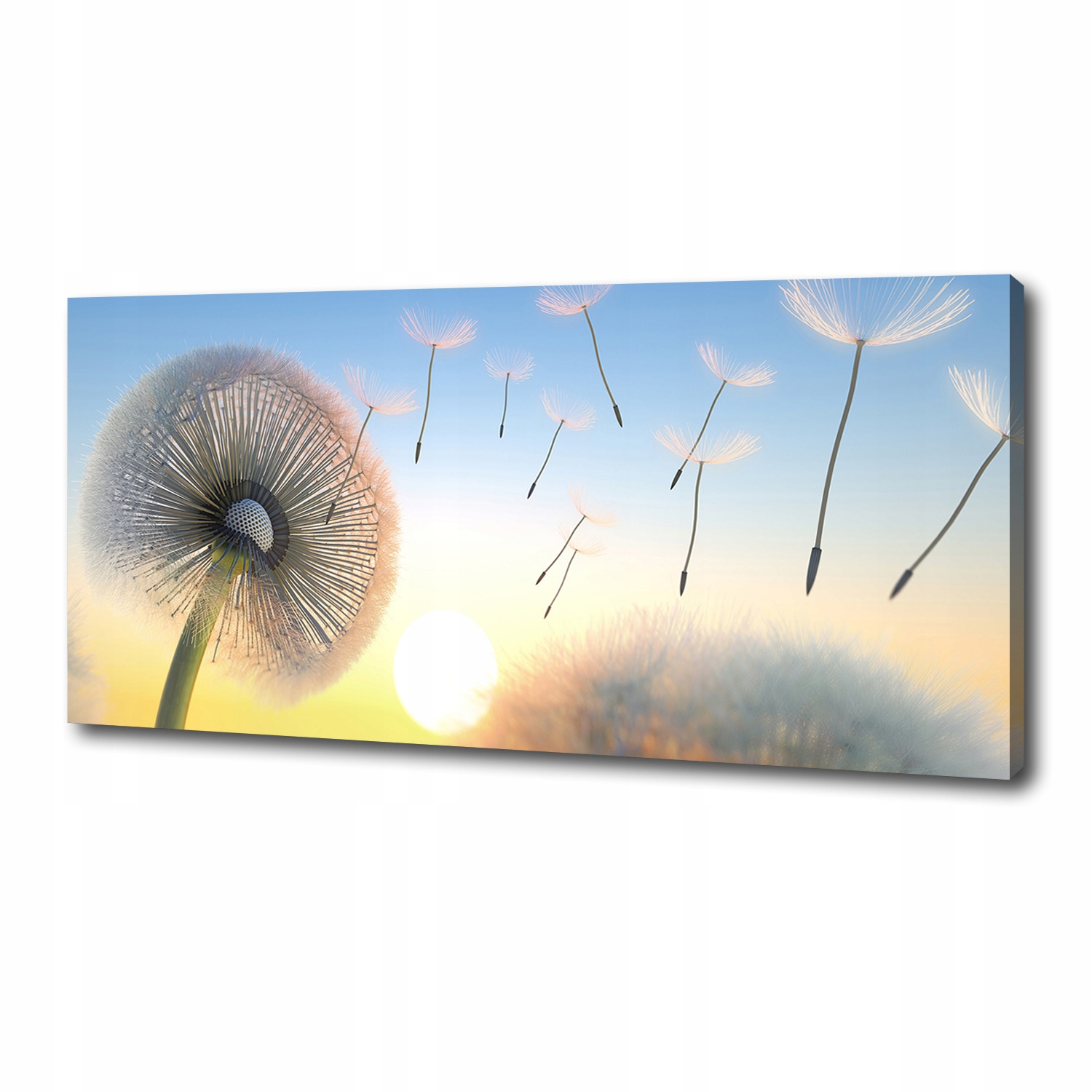 

Foto obraz canvas na ścianę Dmuchawiec 125x50 cm