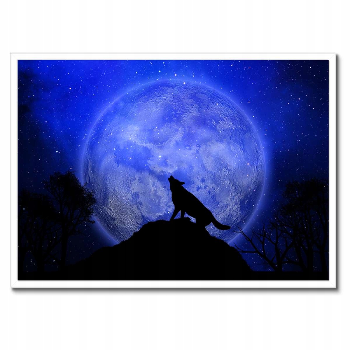 Plakáty v rámu 70x50 Vlk vyje do měsíce Noc