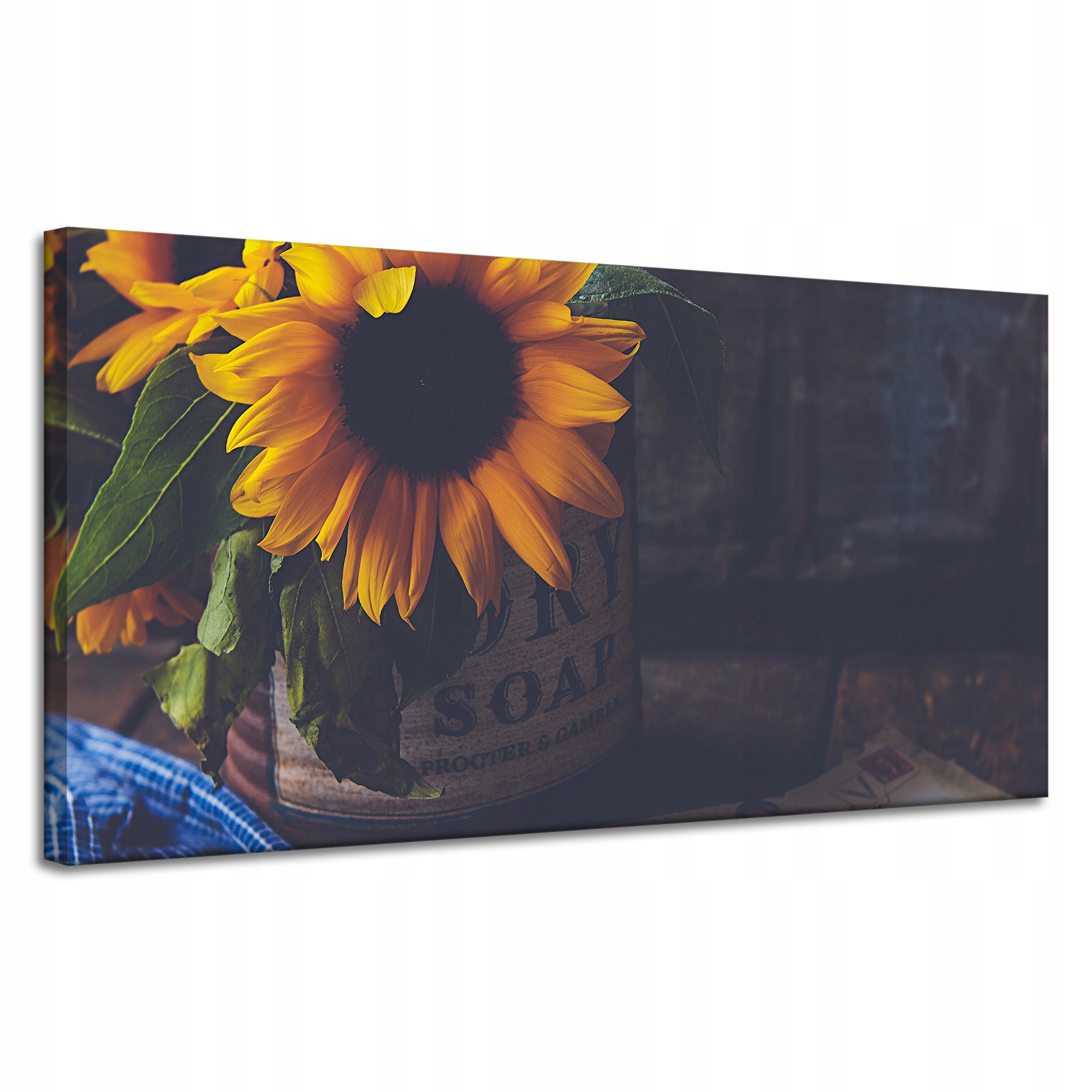 Obraz Canvas Botanika Slunečnice Vintage 120x60 cm