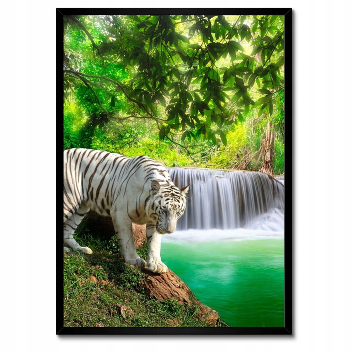 Plakáty v rámu 50x70 Tygr u vodopádu