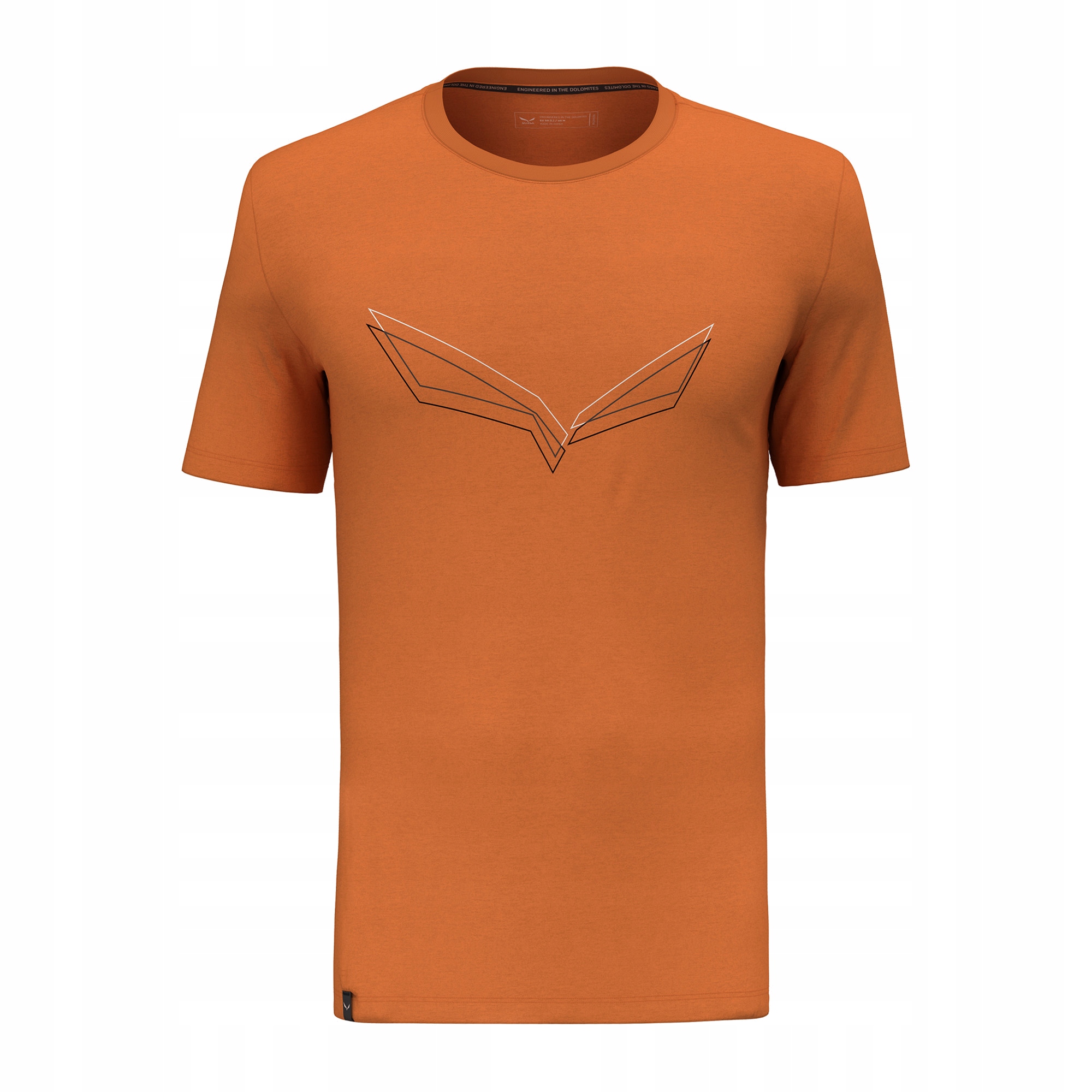 Koszulka męska Salewa Pure Eagle Frame Dry burnt orange 50/L