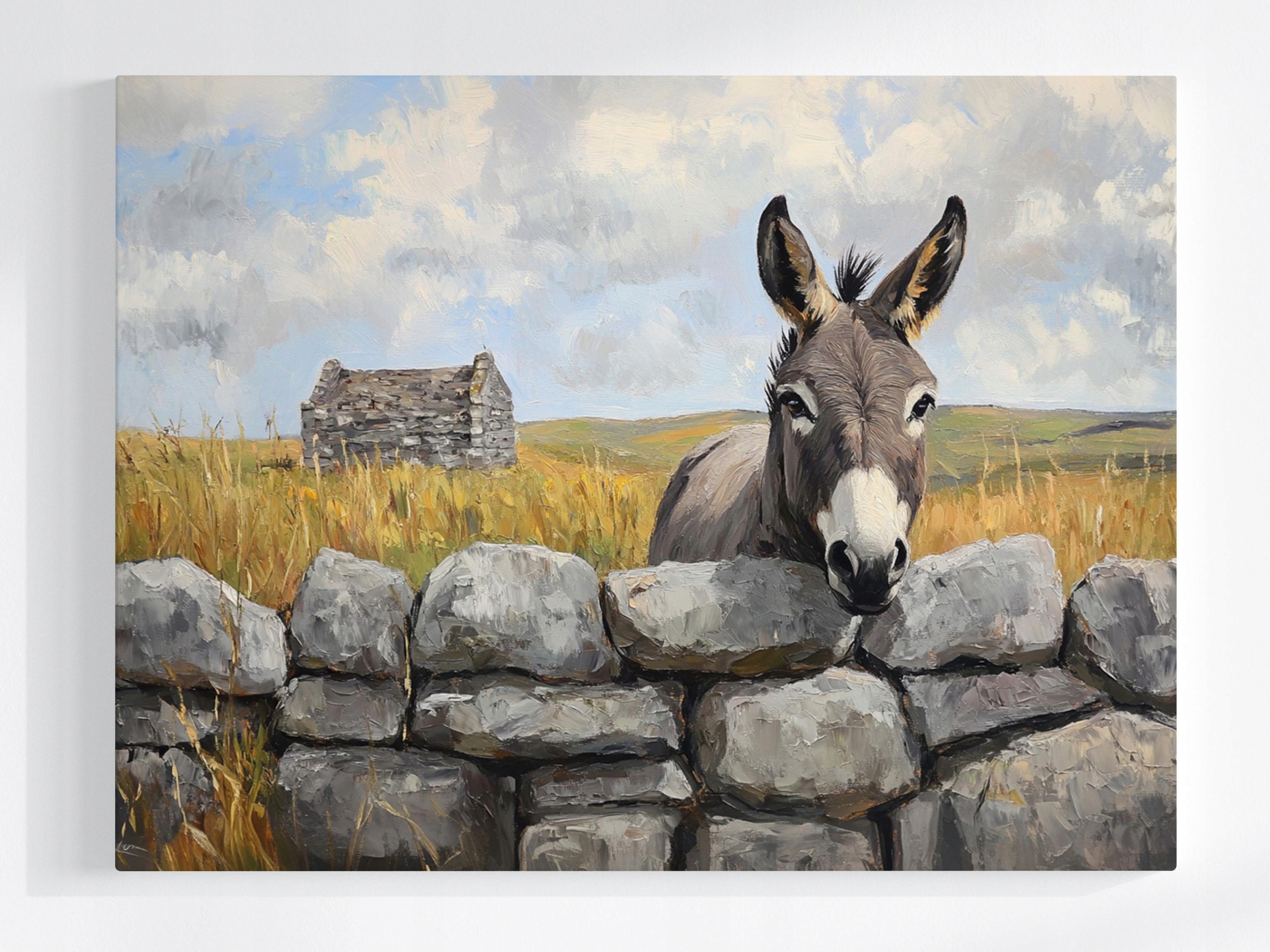 Obraz Na Plátně Canvas Příroda Irsko Zeď Obec Osel 80x60
