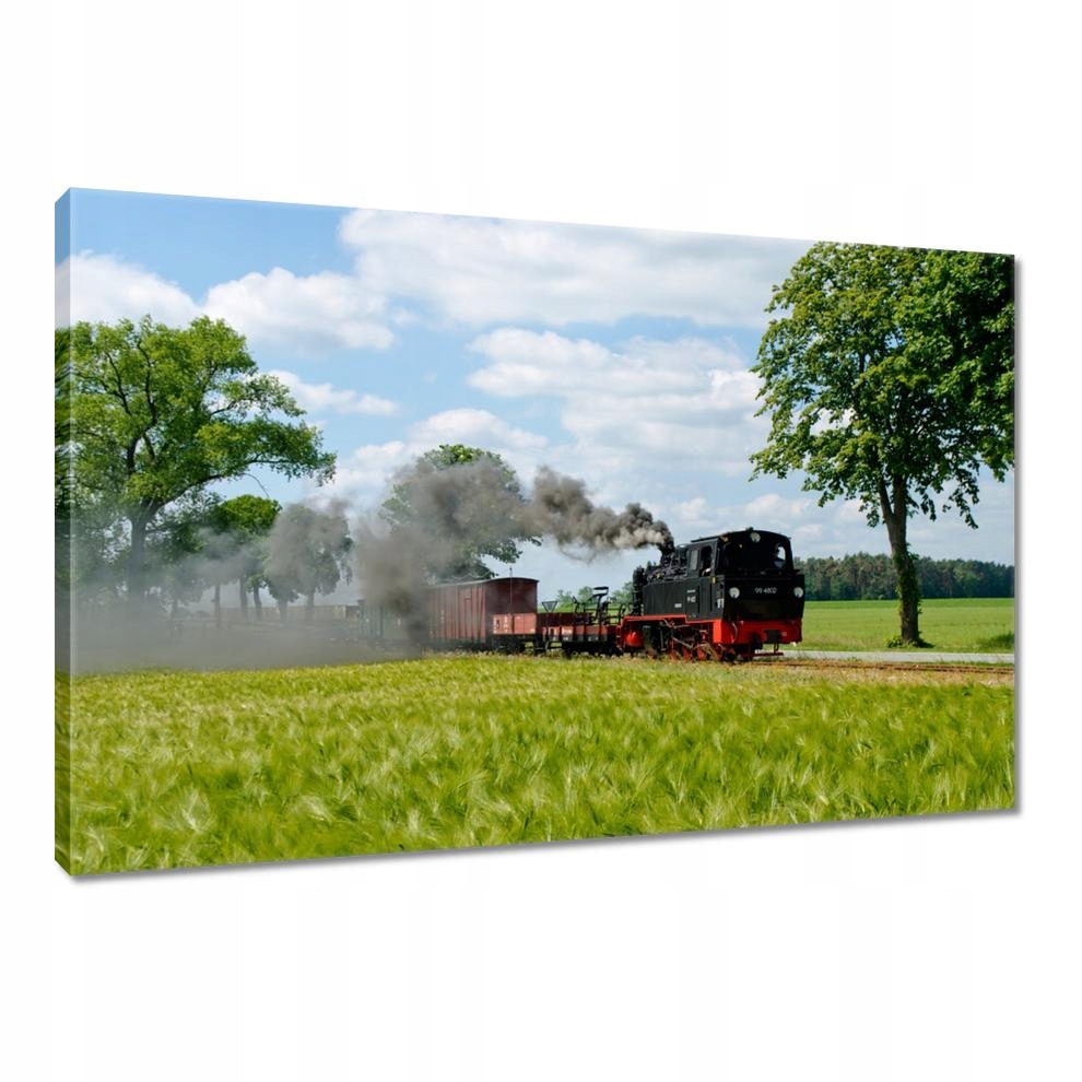

Obrazy 90x60 Ciuchcia