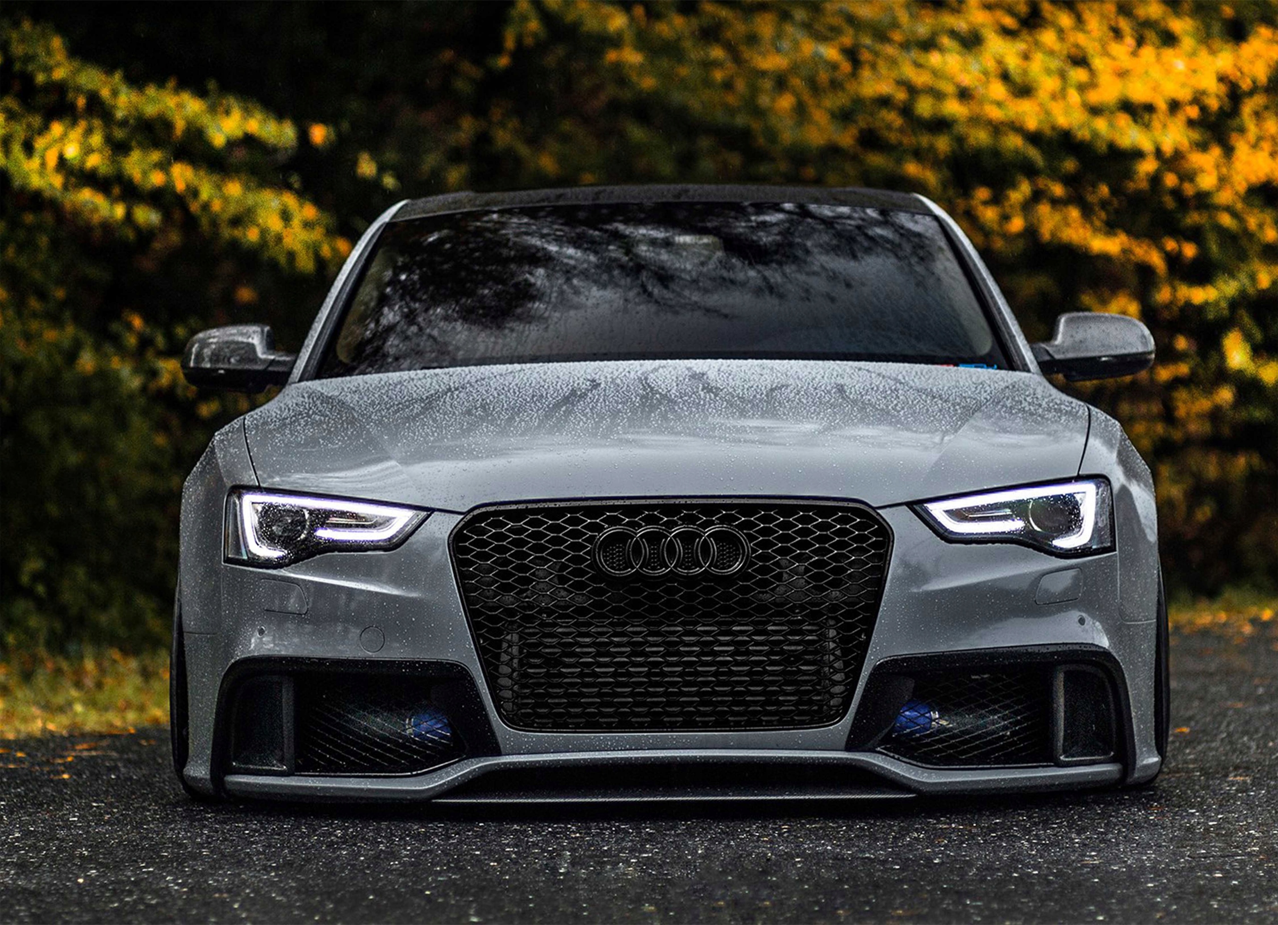 

Fototapeta Audi 09 254x184