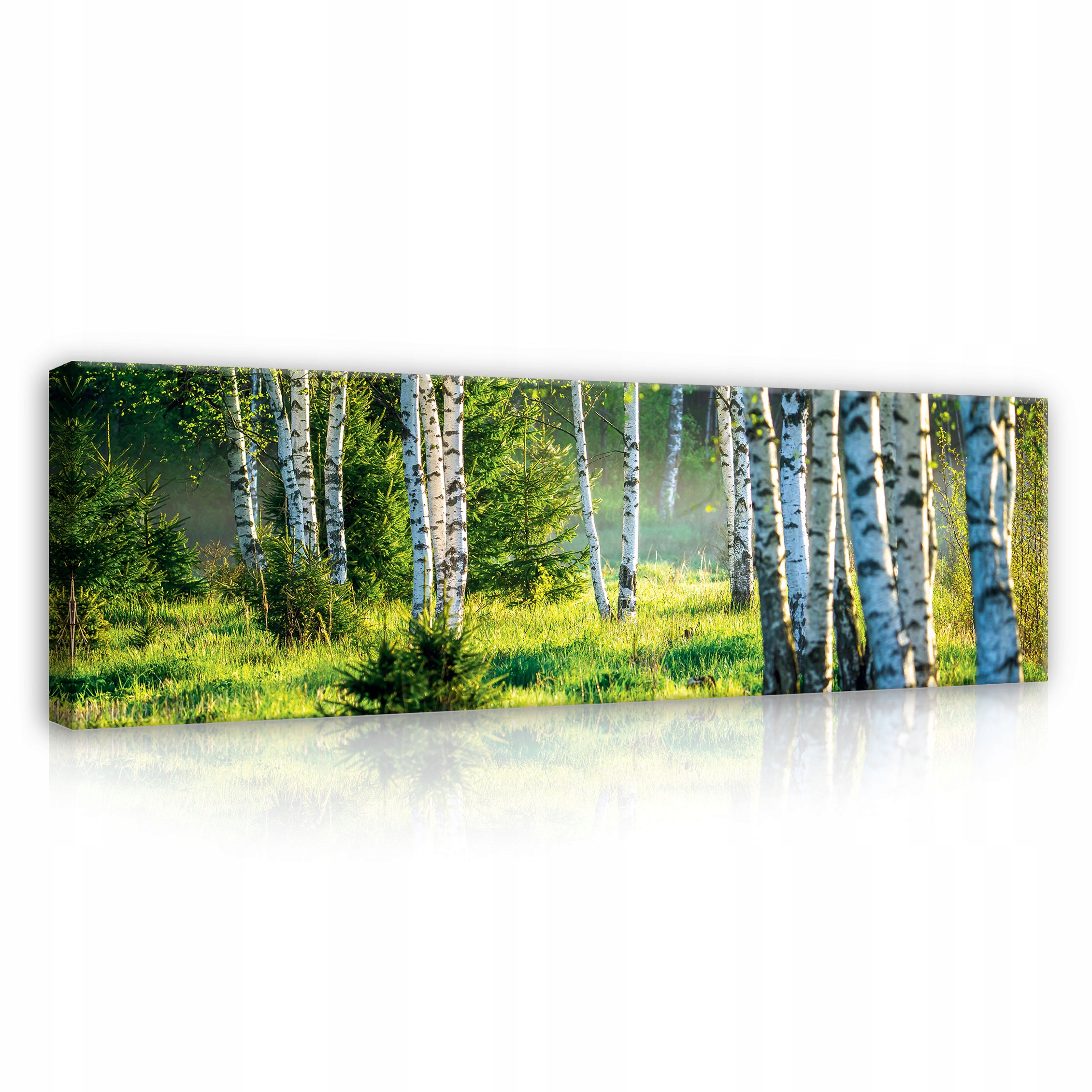 

Obraz Las Natura Płótno Do Salonu Na Ścianę 145x45