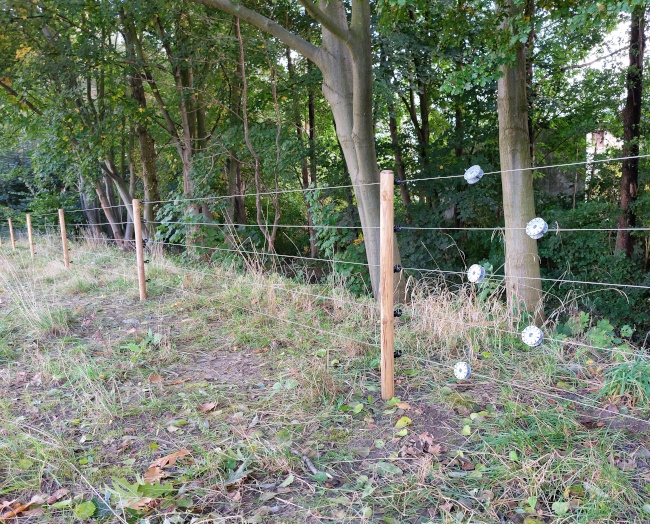 Izolatory do pastucha elektrycznego do drewna 100szt elektryzator drut Przeznaczenie do drutu i plecionki