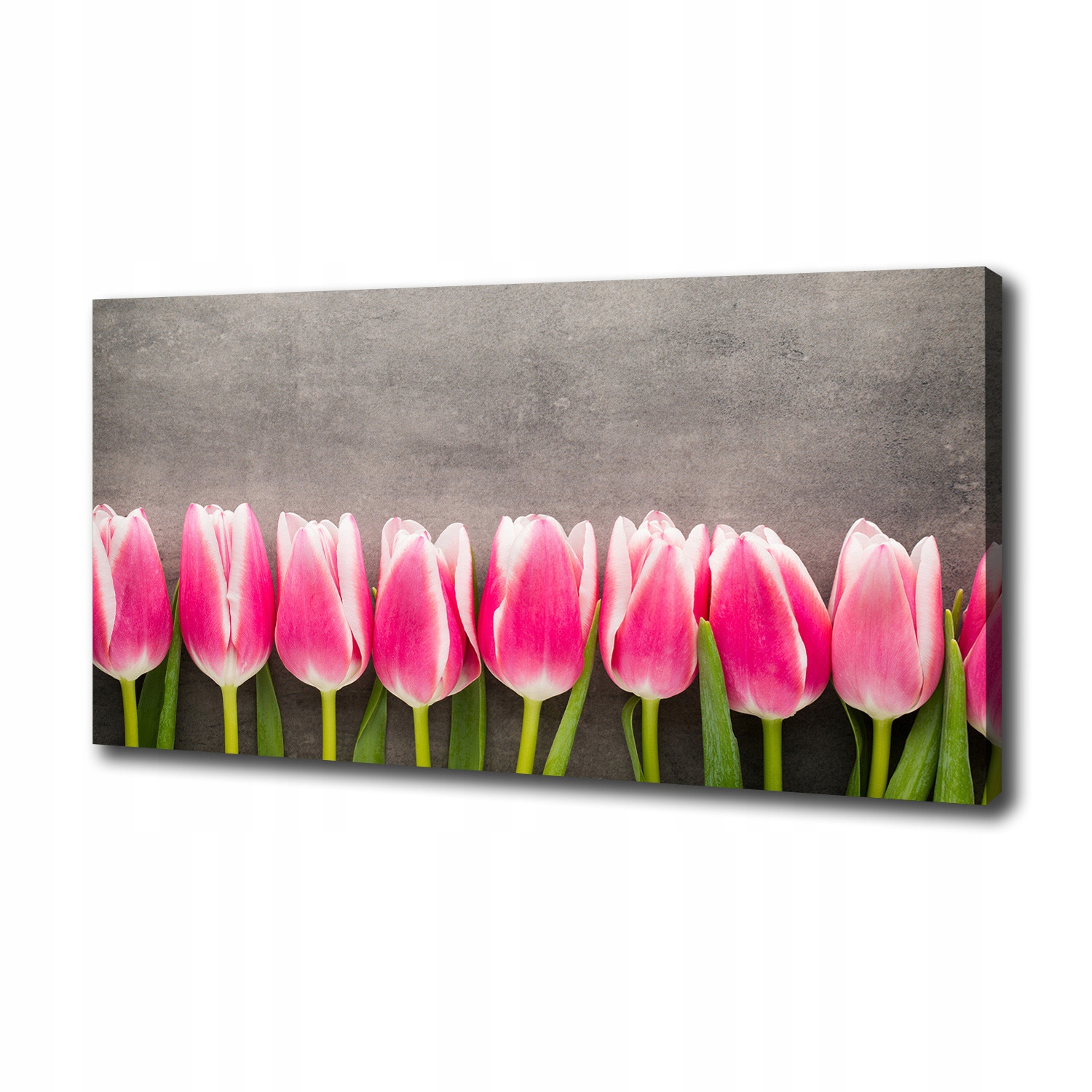 Fotoobraz obraz na plátně Růžové tulipány 100 x 50 cm