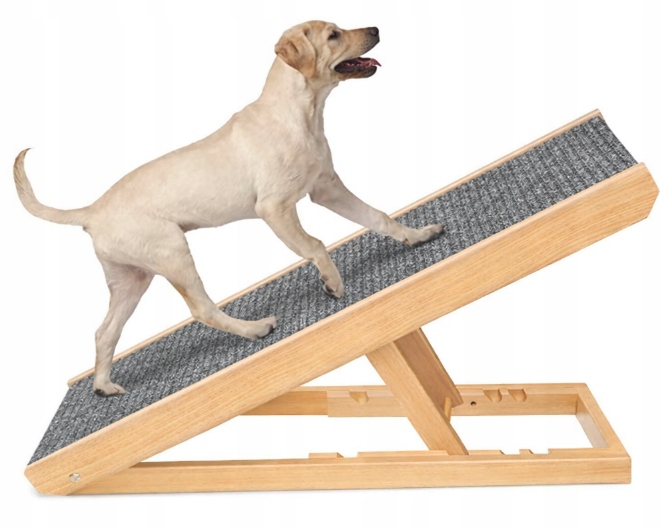 Rampa Dla Psa Schody Podest Do Wchodzenia Regulowana Wytrzymała Drewniana