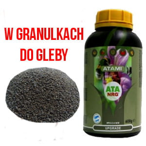 

Ata Nrg Upgrade 600g Atami Organiczny Nawóz