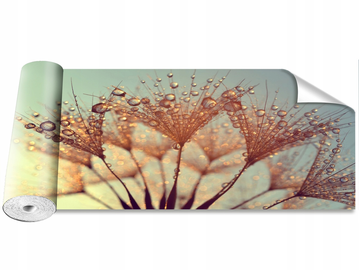 

Tapeta Samoprzylepna Dmuchawiec Rosa 250x104