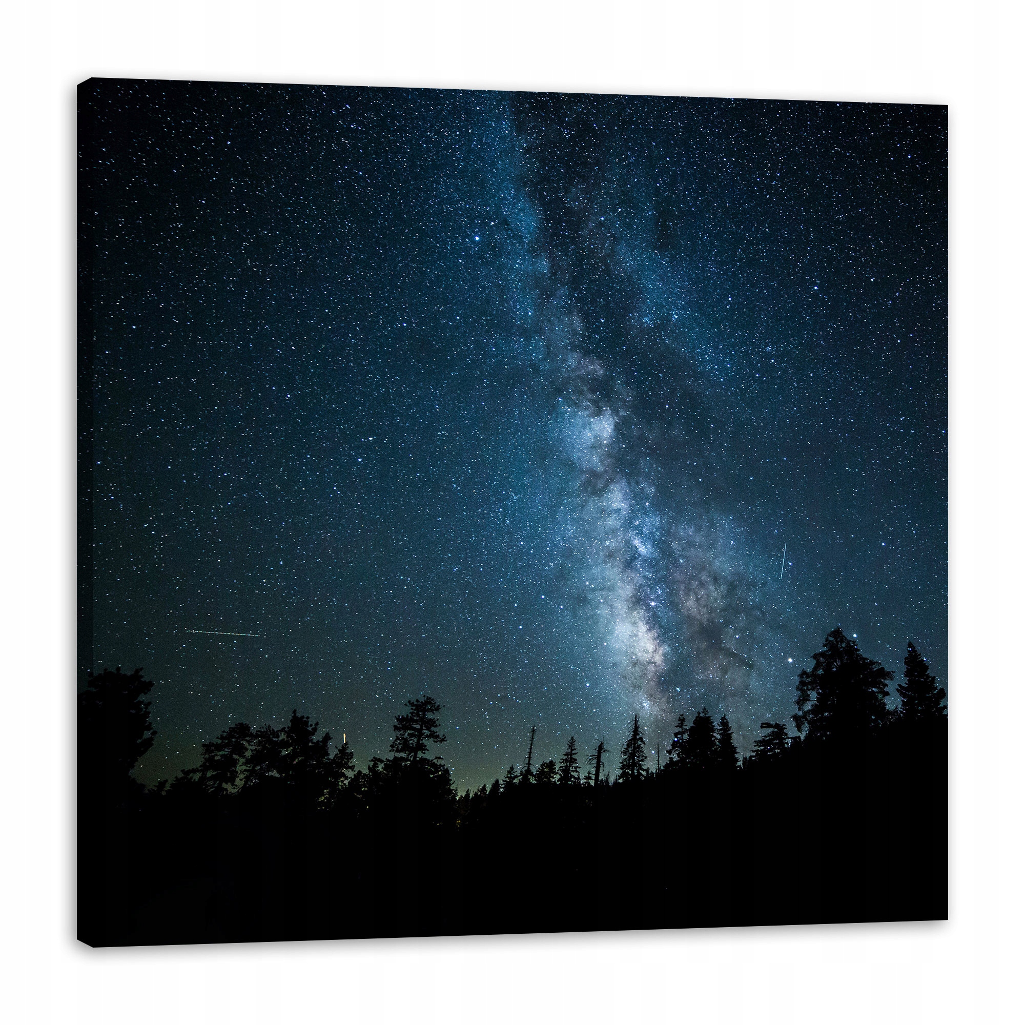 Obraz na plátně Vesmír Noc Les Mlhovina obloha Astronomie 80x80
