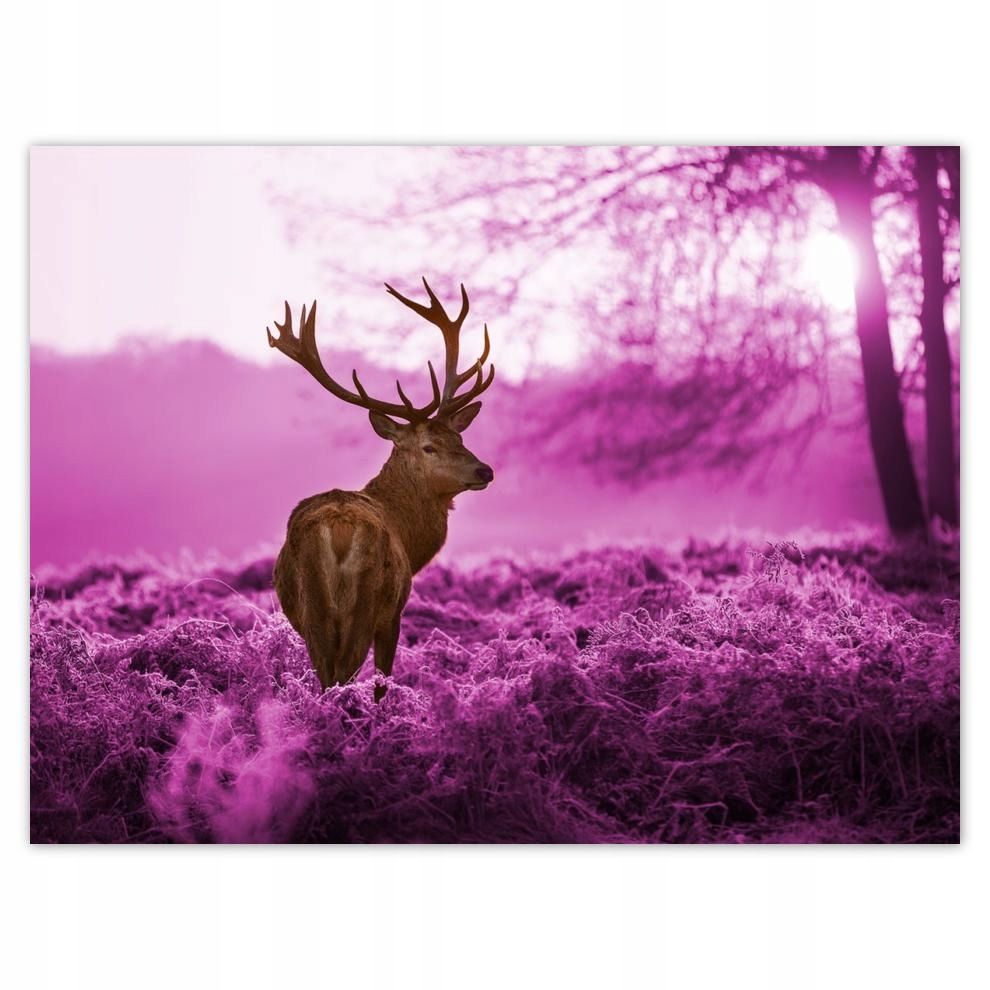 

Plakat 40x30 Jeleń we fioletowym lesie