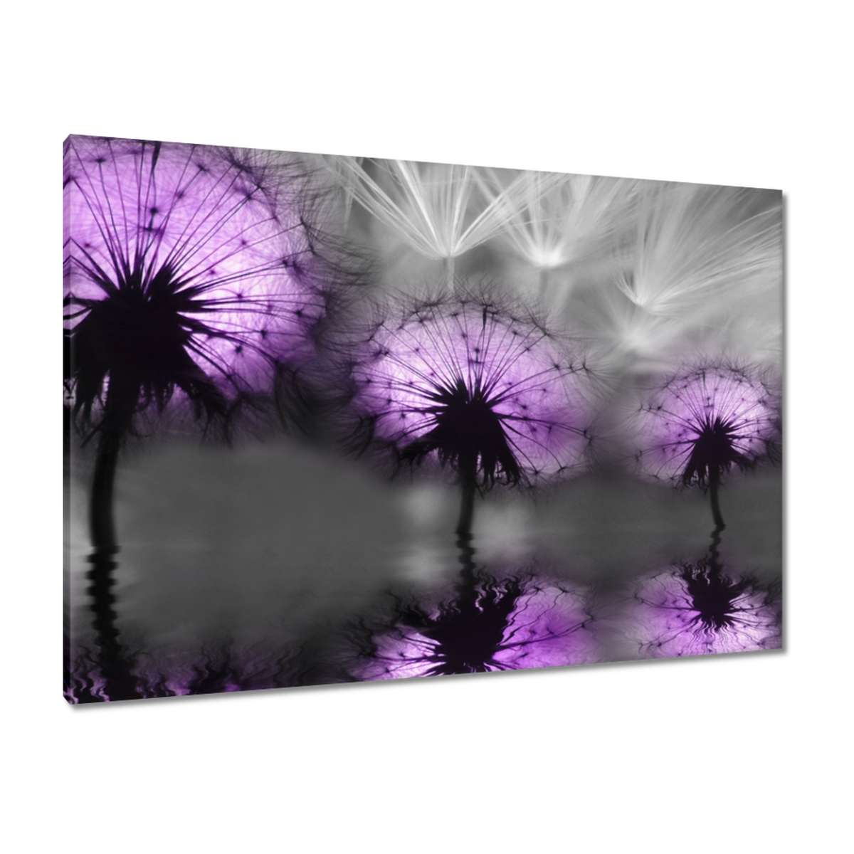 Obrazy 100x70 Odraz ve vodě Létající