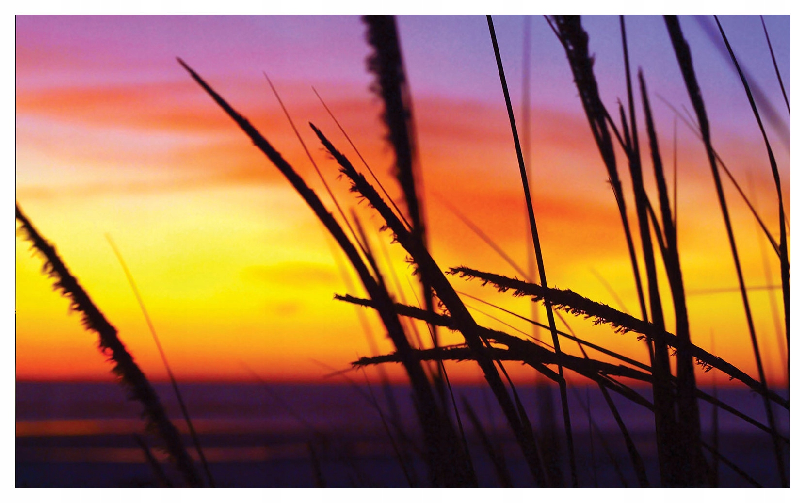 Fototapeta flizelina Západ slunce step tráva siluety příroda 312x219 lepidlo