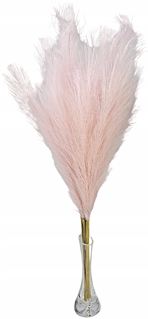 TRAWA DEKORACYJNA PAMPASY pampas dekoracja 70cm