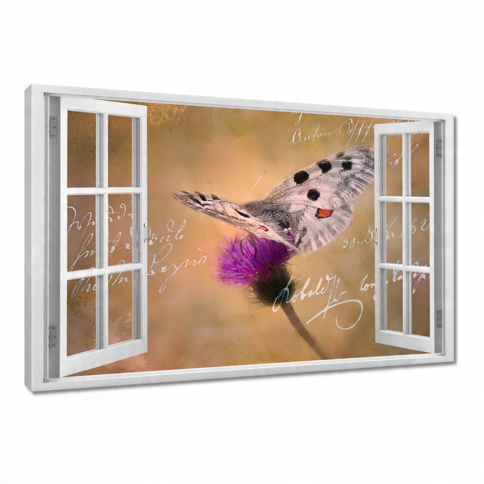 

Obrazy 120x80 Kocham motyle