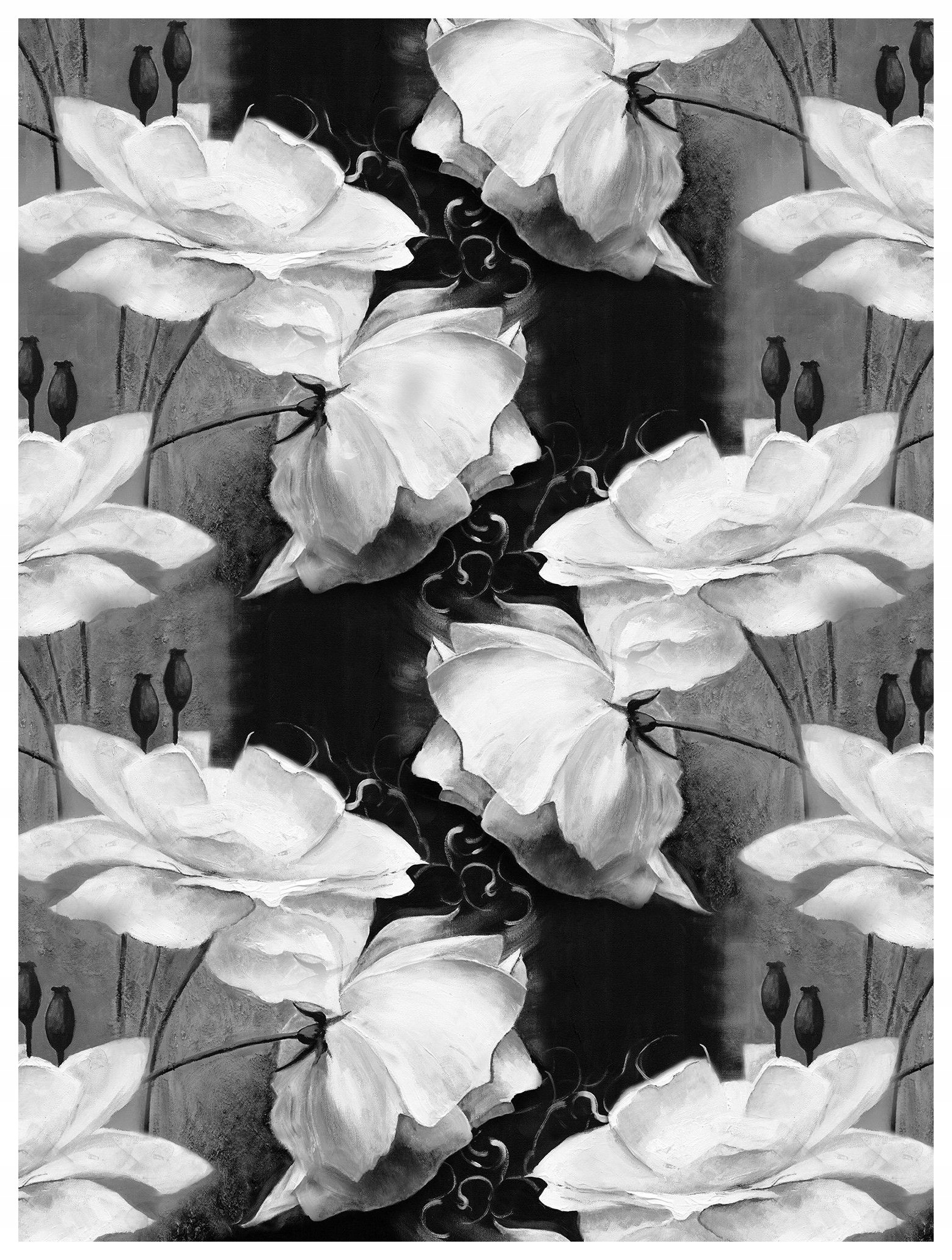 Fototapeta Květiny Monochromatické Tmavé pozadí Elegantní 206x275 lepidlo