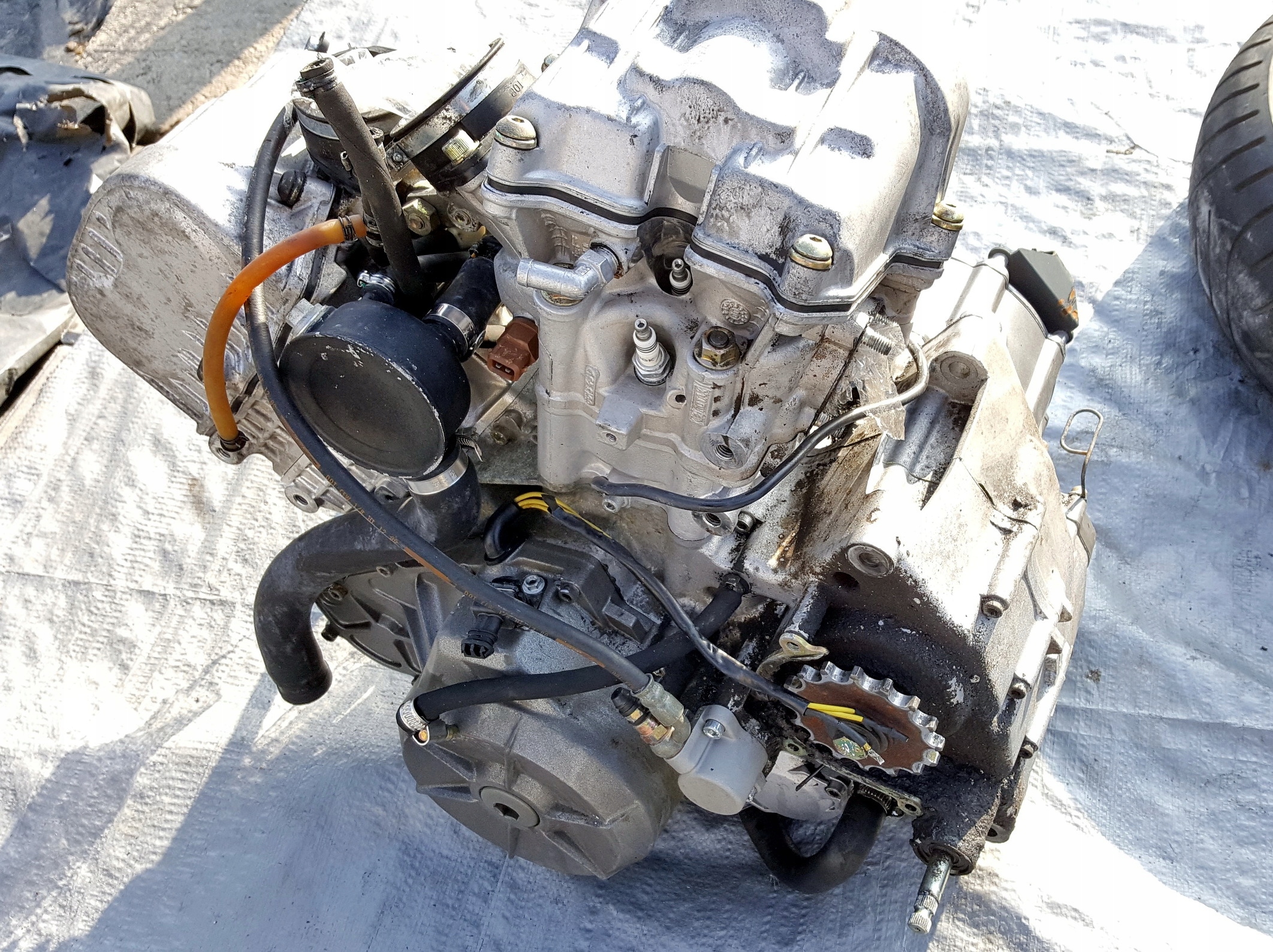 Silnik Aprilia RST 1000 Futura 01-05r Producent Aprilia OE