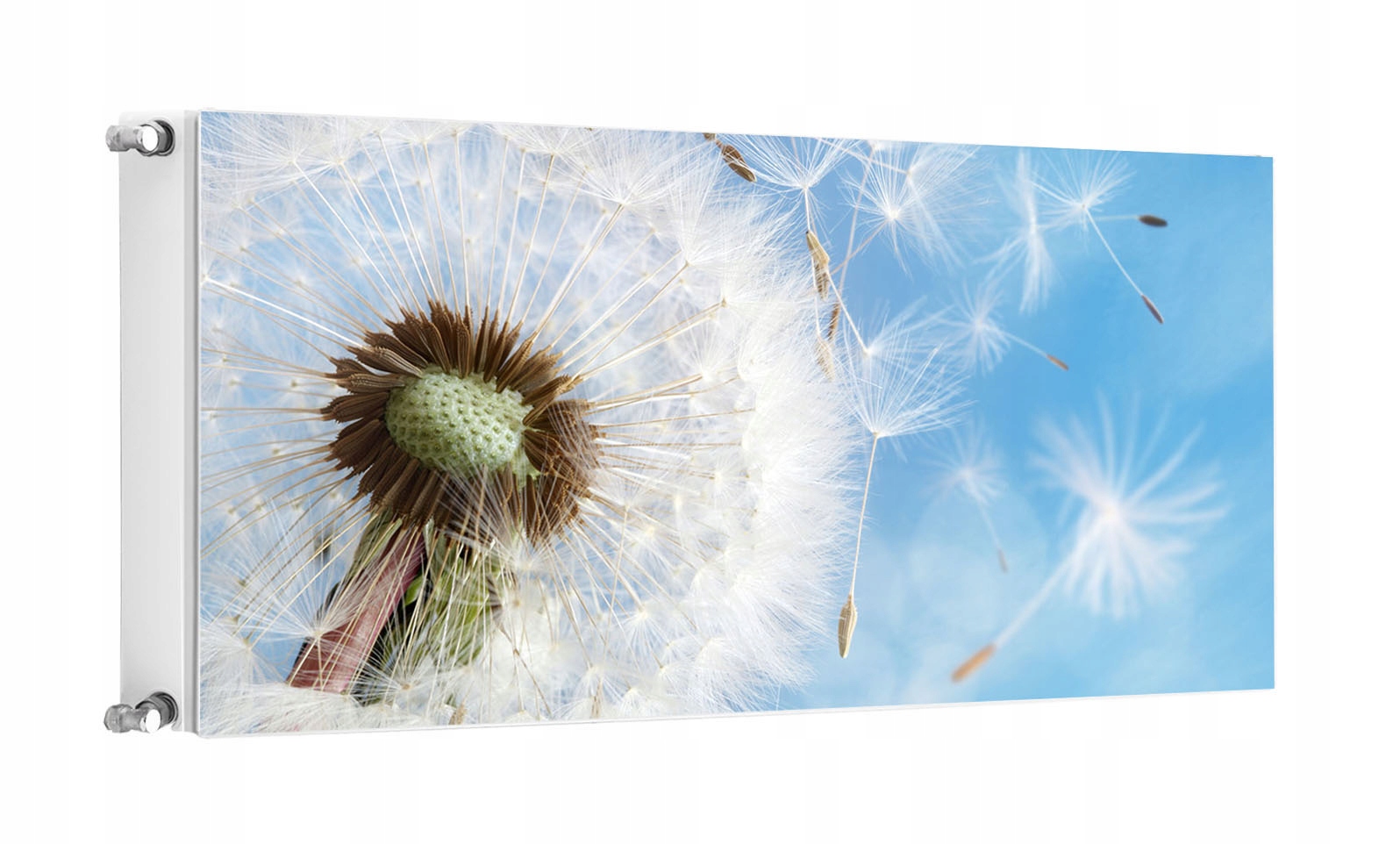 Magnet Magnetická Podložka Na Radiátor 120x60 Květiny Fototapeta