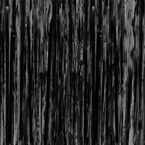 

Kurtyna Zasłona Imprezowa Czarna 100X200 CM
