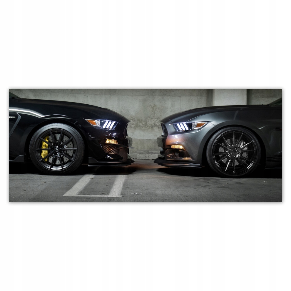 

Fototapety flizelina 250x104 Ford Mustang