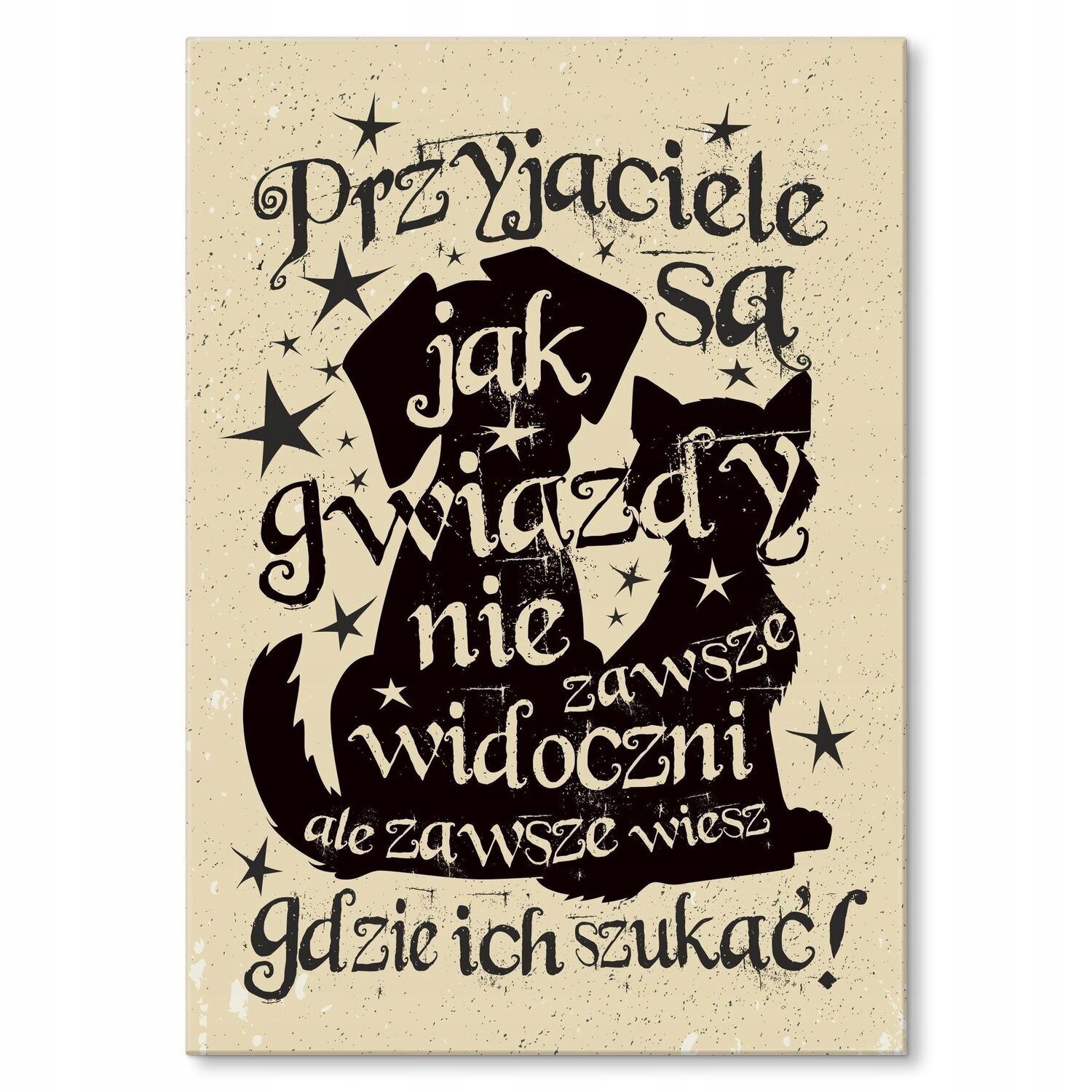 Kovový plakát Přátelé jako hvězdy Dárek 42 x 59 cm