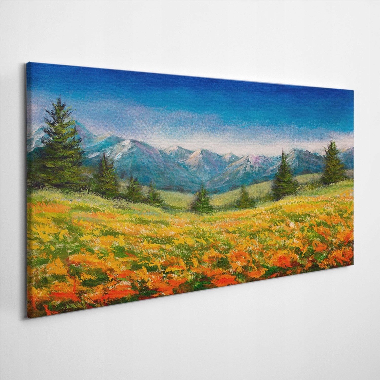 

Zdjęcie na płótnie Kwiaty Krajobraz Góry 100x50 cm