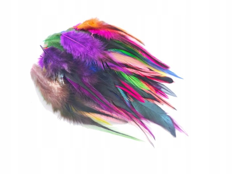 Pióra siodłowe ROOSTER 8-15 cm MIX 50szt /2110
