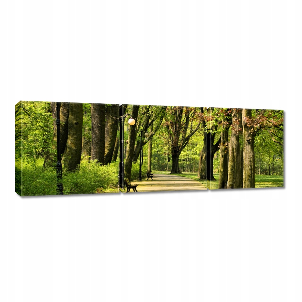 

Obrazy 60x20 Park Cytadela