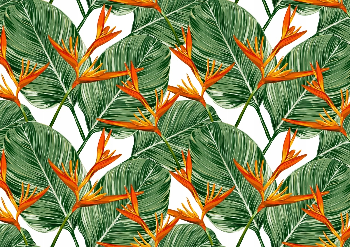 

Tapeta Flizelinowa Strelicja królewska - 208x146