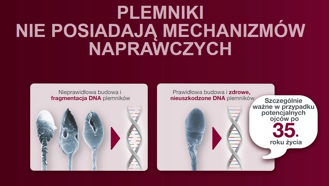 PROFERTIL 60 kapsułek ZWIĘKSZA PŁODNOŚĆ U MĘŻCZYZN Marka Establo Pharma