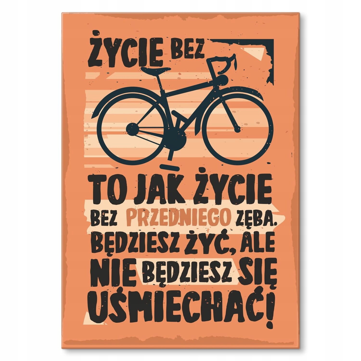 Dárek štítek na zeď ozdoba plech nápis pro cyklistu Život bez kola