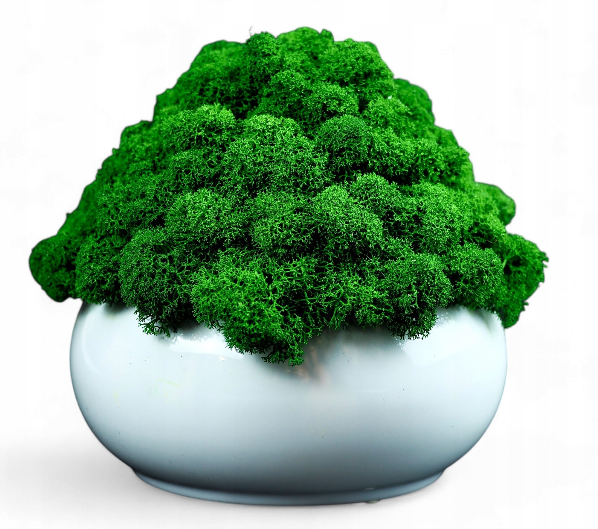 Květináč se sobím mechem, různé barvy, Mikroklimat