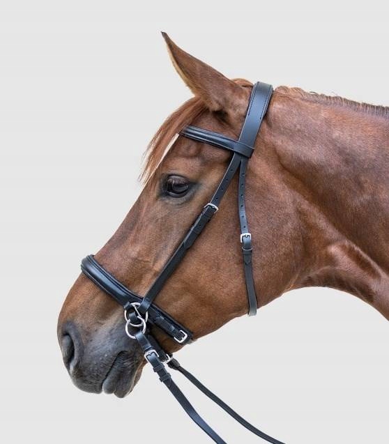 Ogłowie bezwędzidłowe Full black Waldhausen