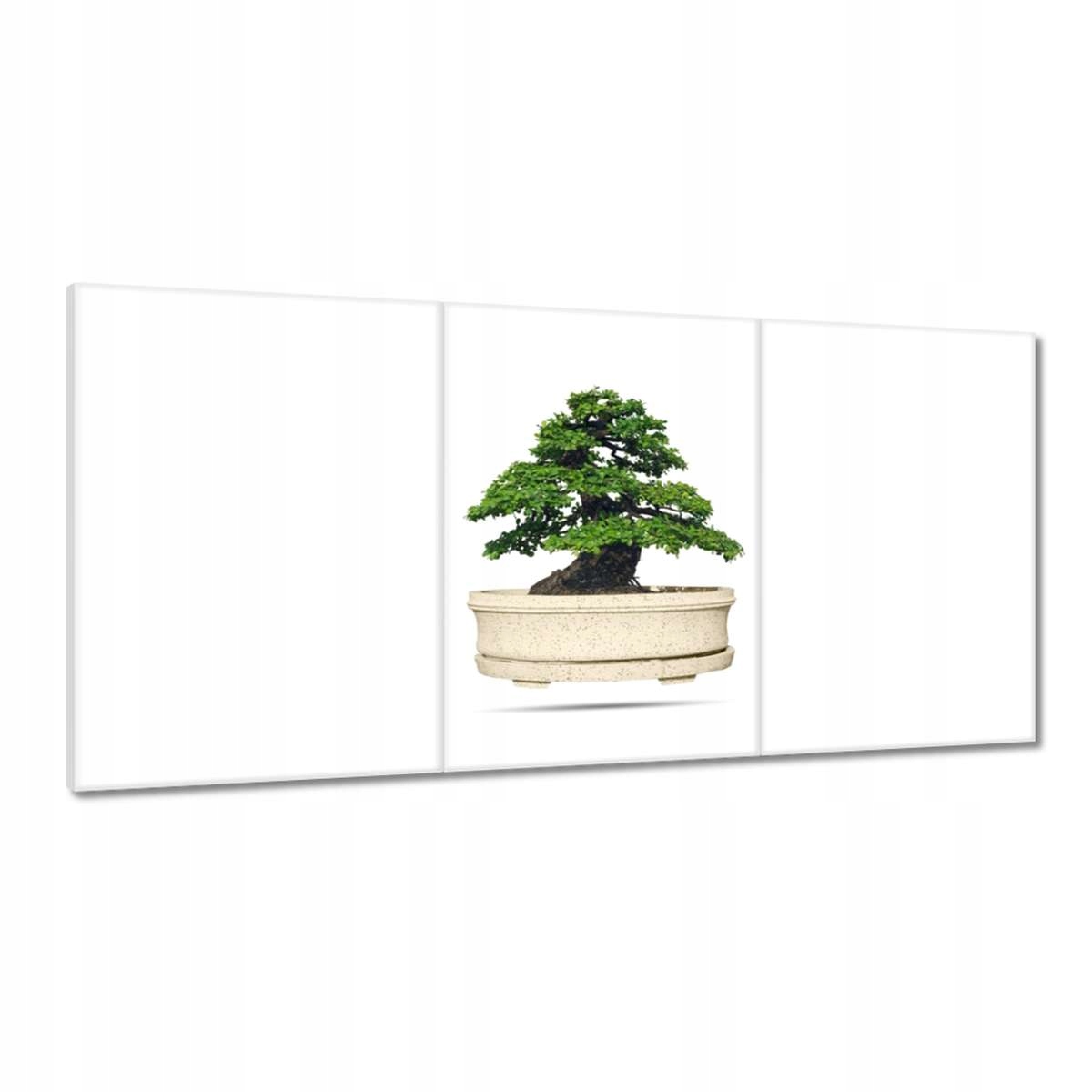 Obrazy 180x90 Strom Bonsai
