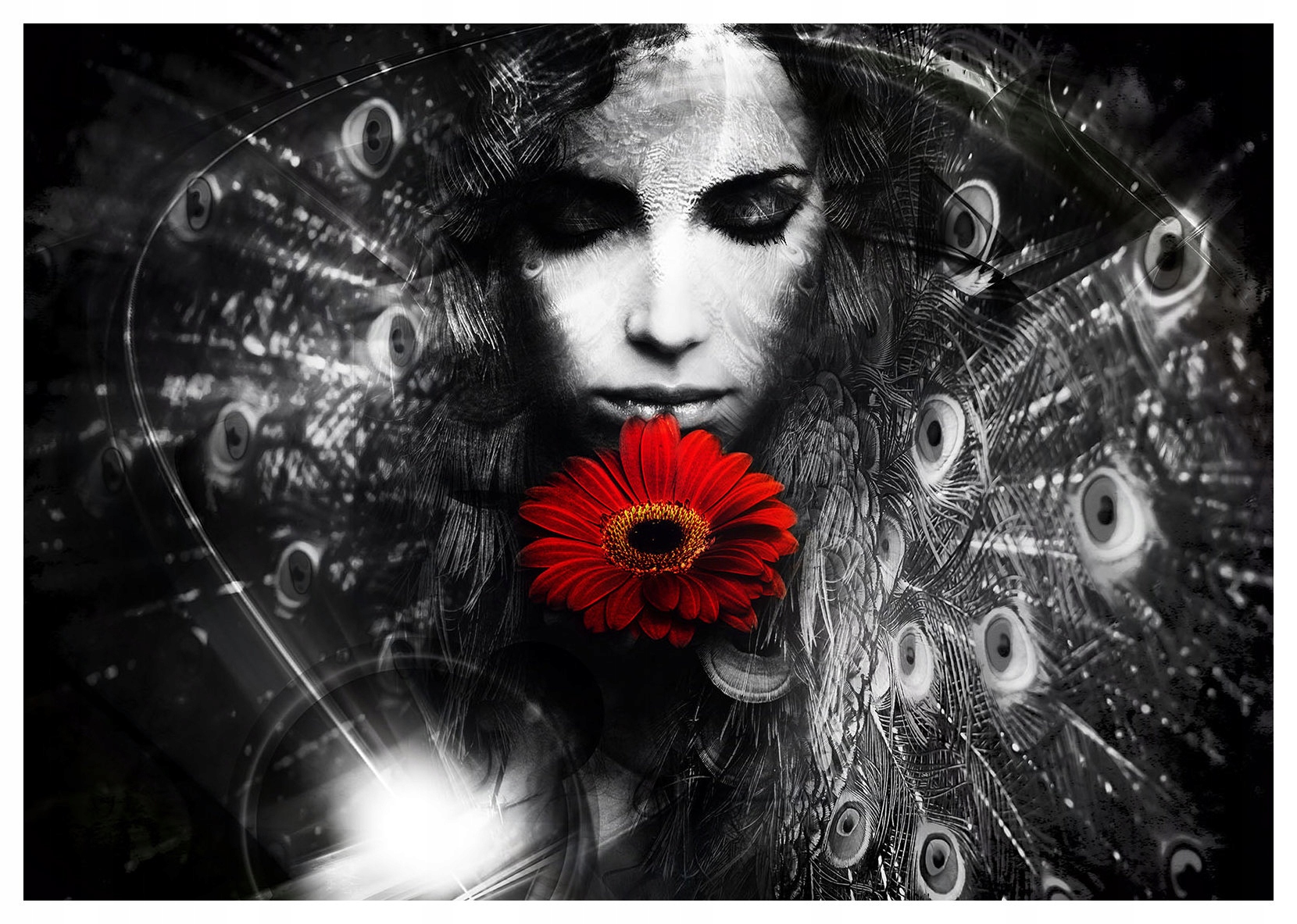 Tapeta Žena Gerbera Pávi Pera Eklektismus Loft Art déco 254x184 lepidlo