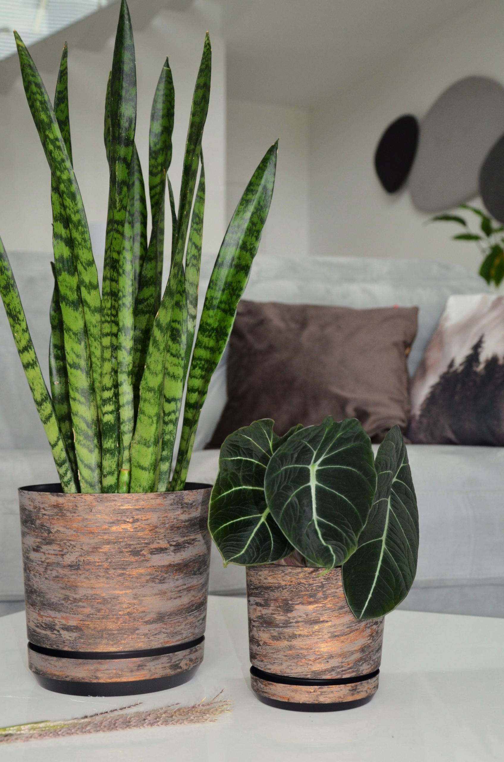 18 RDZAWA KORA Doniczka z podstawką barwy lasu Materiał tworzywo sztuczne