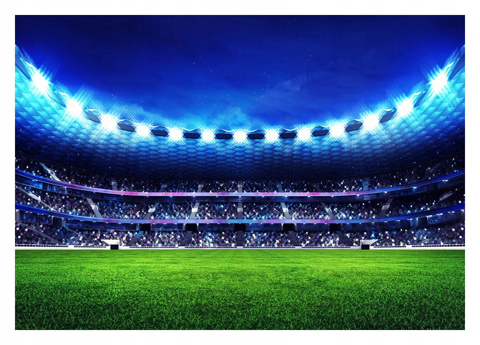 

Fototapeta 3D Piłka Nożna Stadion 208x146 F00649