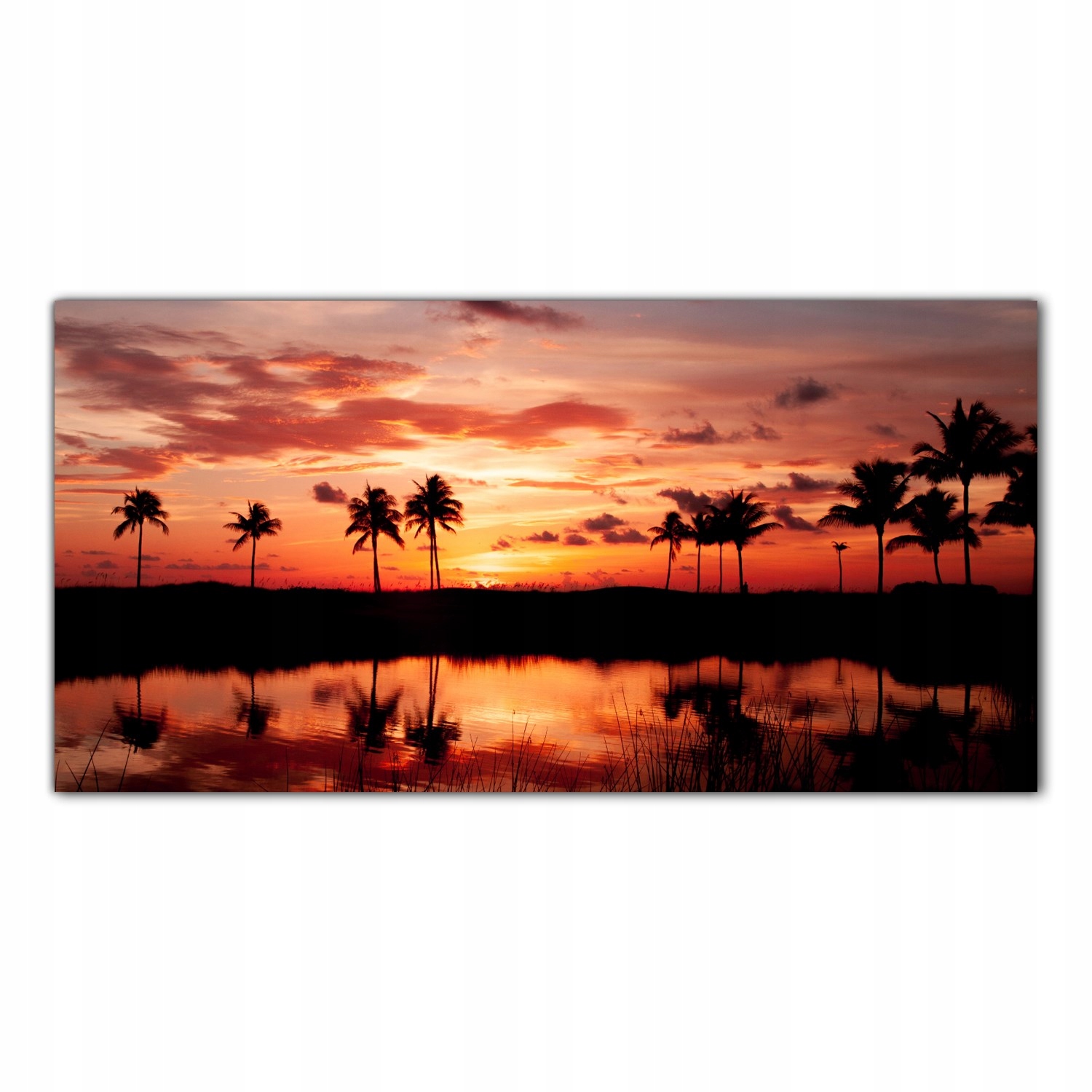 Tropiki Jezero Stromy 120x60 cm Lacobel do kuchyně